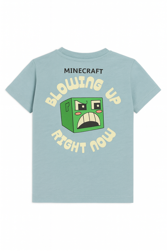 Boys Junior Minecraft Sage Green T Shirt