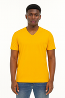 Basic Solid V Neck Tee Assorted-1
