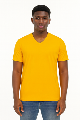 Basic Solid V Neck Tee Assorted