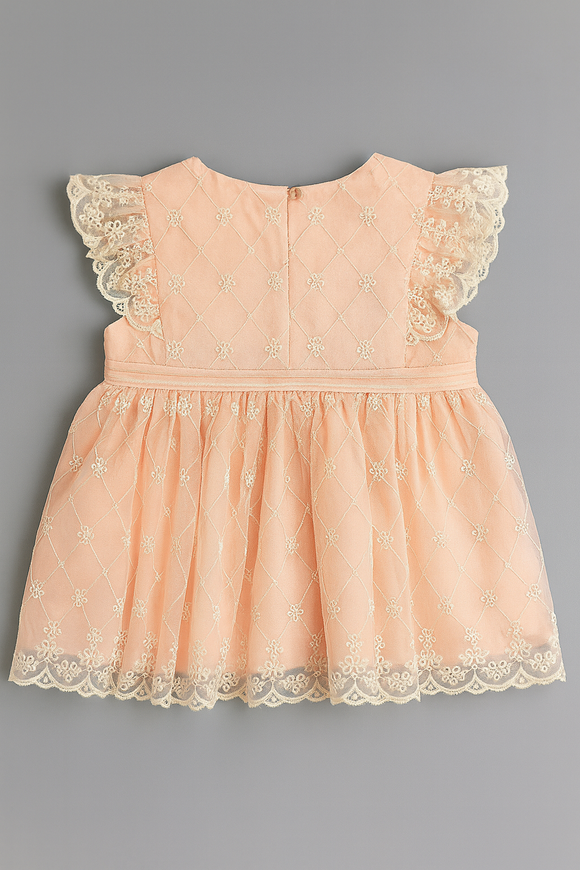 Pink All Over Embroidery Frill Dress