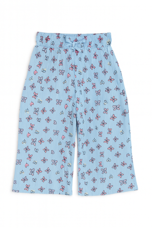 Blue Butterfly Wide leg And Top set