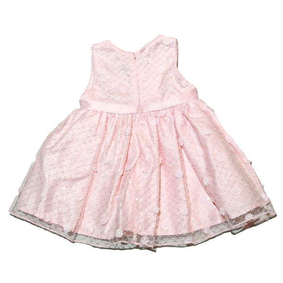 Pink Mesh All Over Embroidery Dress