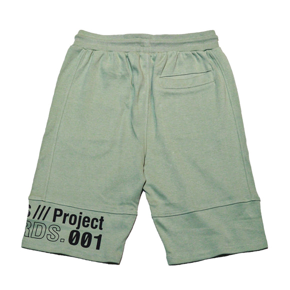 Mint Cut And Sew Active Shorts