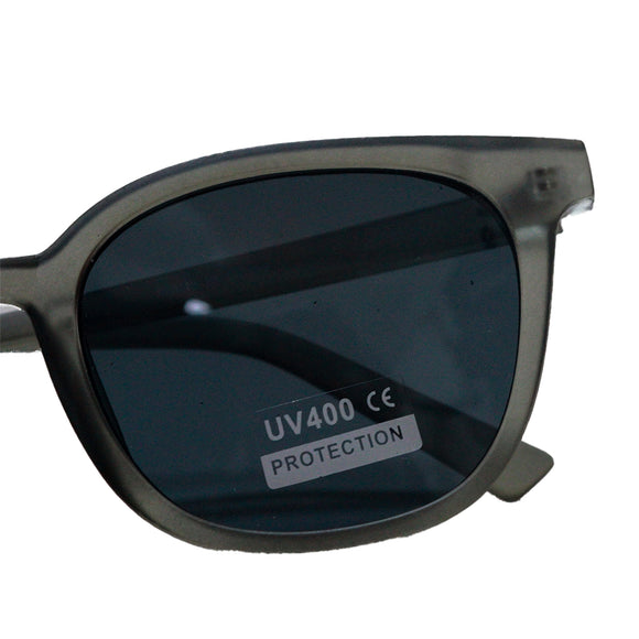 Wayfarer Sunglasses