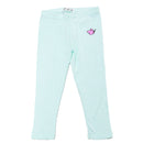 Mint Placement Embroidery Rib-1