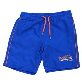 Navy Swim Shorts Navy