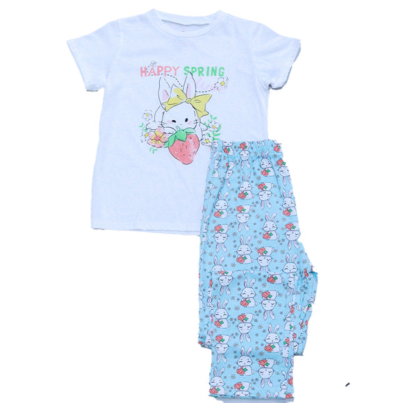 White   Blue Print Assorted