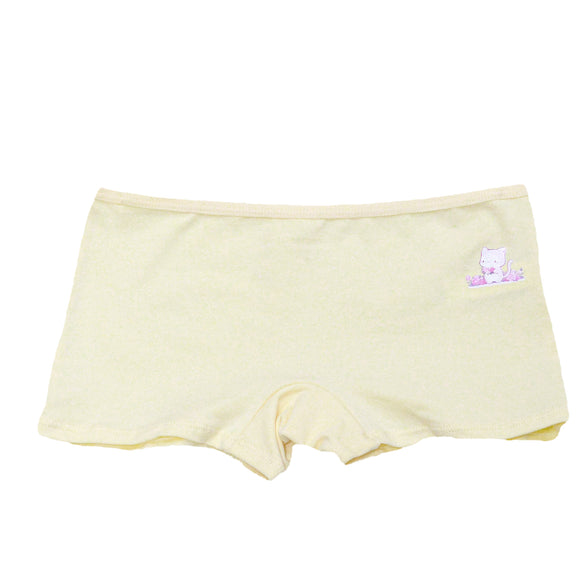 Lt Blue Yellow 2Pcs Boxer Brief Assorted