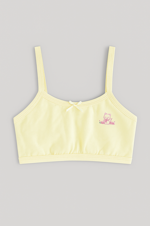 Lt Blue Yellow 2Pcs Pack Bra Assorted