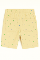 Beige And Olive Green 2Pc Pack Shorts Assorted-4