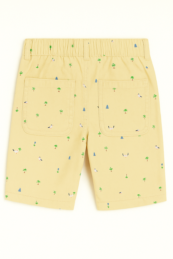 Beige And Olive Green 2Pc Pack Shorts Assorted