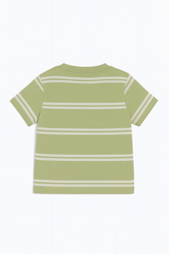 Sage And White Striped Yd Henley Tshirt