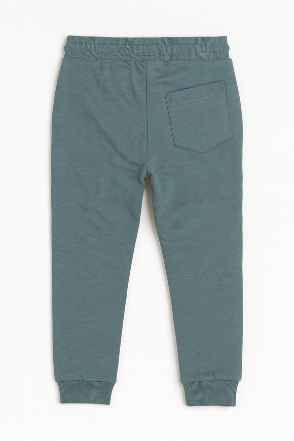 Teal Green Jogpant With Print