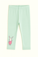 Sage Solid Leggings Green-2