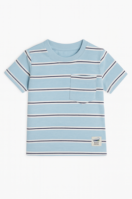 Sky Blue Striped Yarndyed Tshirt - 0