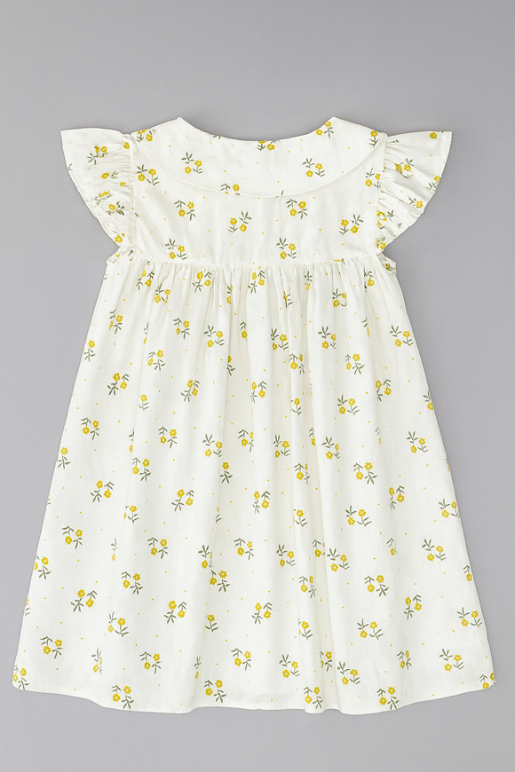 Peterpan Aop Shirt Dress