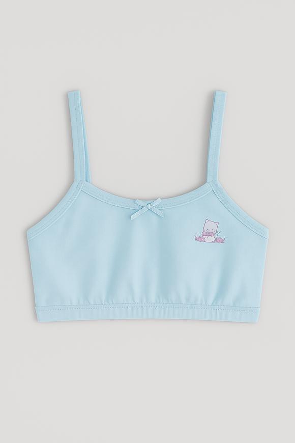 Lt Blue Yellow 2Pcs Pack Bra Assorted