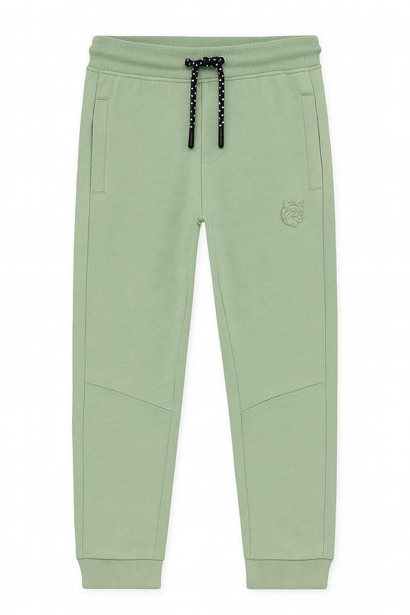 Mint Table Active Pants Mint