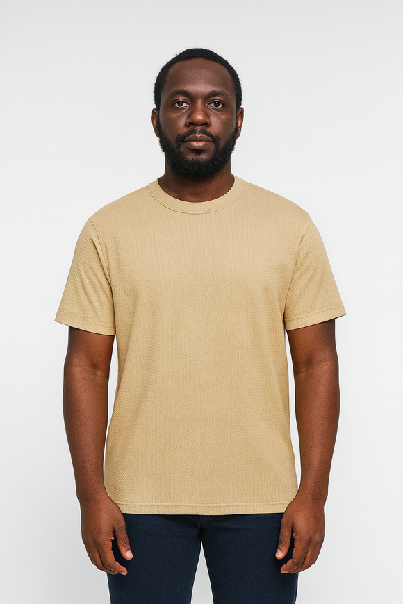 Beige Men T Shirt