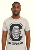 Grey Melange Graphic T Shirt-1