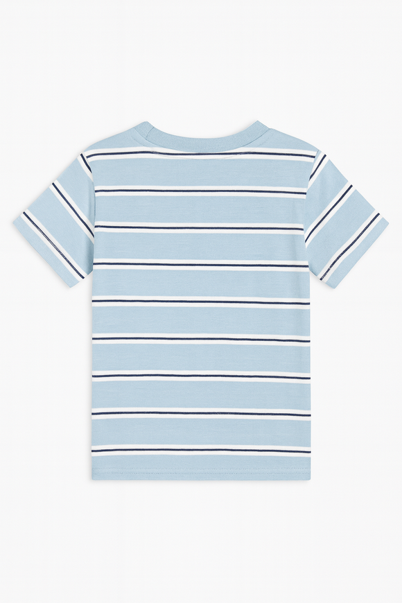 Sky Blue Striped Yarndyed Tshirt