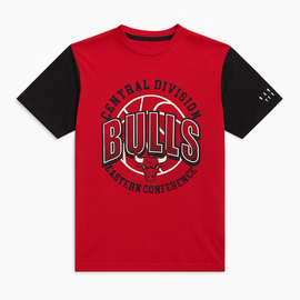 Red Chicago Bulls T Shirt - 0