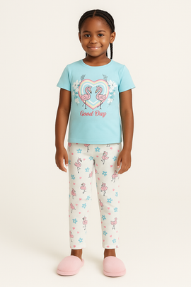 Blue Heart Flamingo Print S S Pajama Sets Assorted