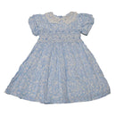 Blue Lace Neck Printed Dress-2