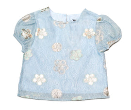 Blue Embroidered Floral Blouse