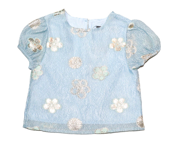Blue Embroidered Floral Blouse