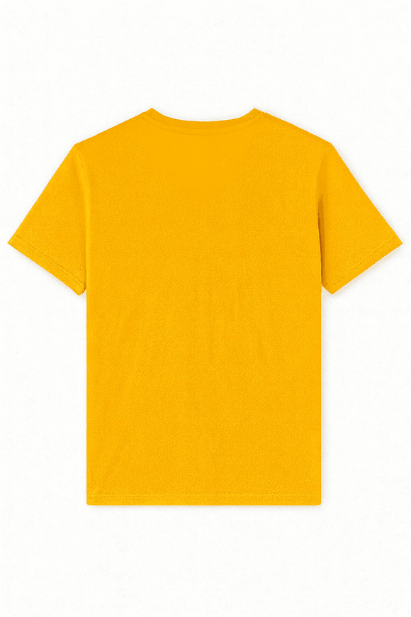 Basic Solid V Neck Tee Assorted Nawao.com