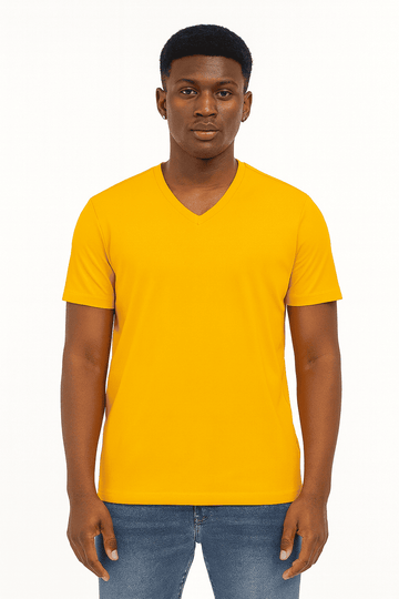 Basic Solid V Neck Tee Assorted Nawao.com