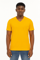 Basic Solid V Neck Tee Assorted Nawao.com
