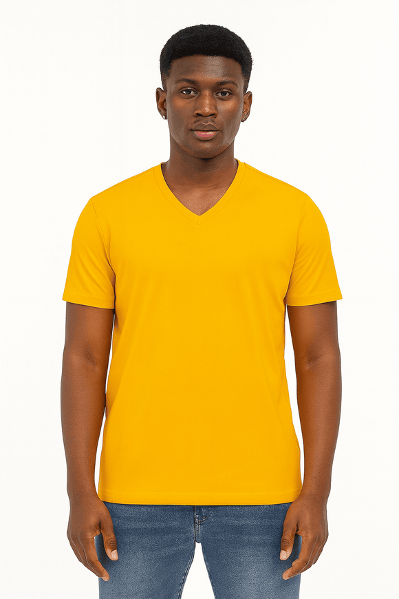 Basic Solid V Neck Tee Assorted Nawao.com