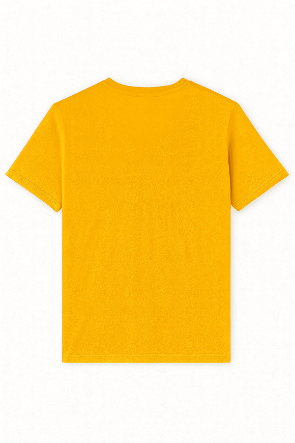 Basic Solid V Neck Tee Assorted Nawao.com