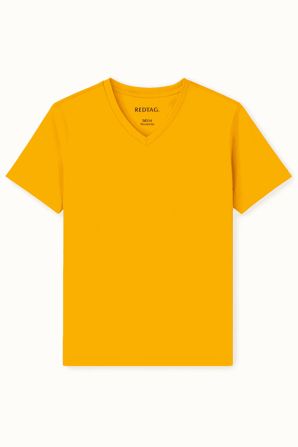 Basic Solid V Neck Tee Assorted Nawao.com