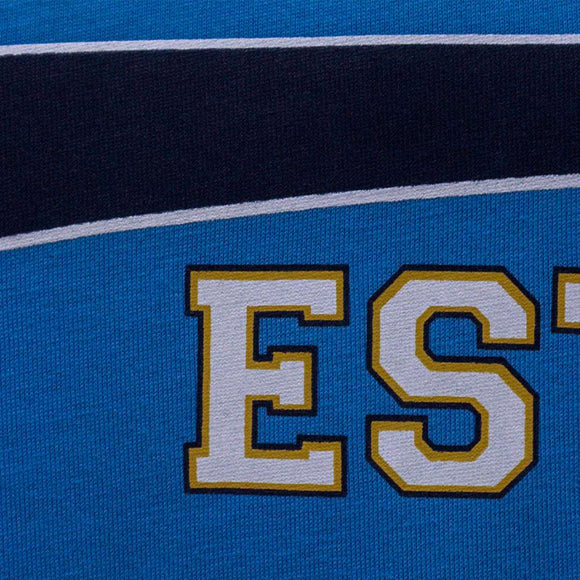 Blue Graphic T Shirt Blue Nawao.com