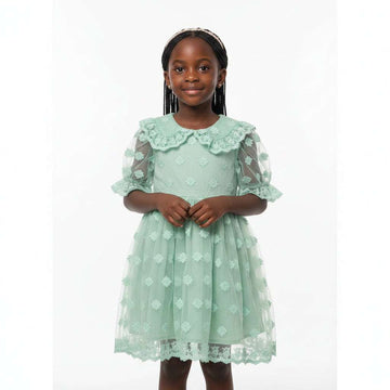 Green Peterpan Collared Embroidered Chiffon Dress Green Nawao.com