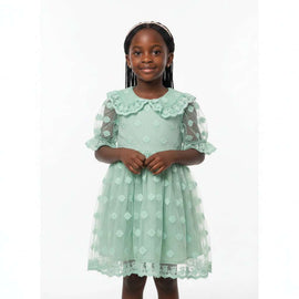 Green Peterpan Collared Embroidered Chiffon Dress Green Nawao.com