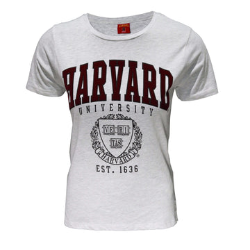 Grey Printed T Shirt Nawao.com