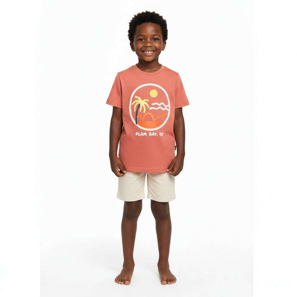 Junior Boys Crew Neck Tshirt With Short Set Assorted Nawao.com