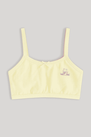 Lt Blue Yellow 2Pcs Pack Bra Assorted Nawao.com