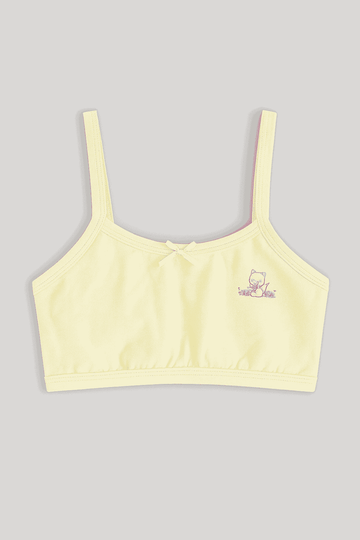 Lt Blue Yellow 2Pcs Pack Bra Assorted Nawao.com