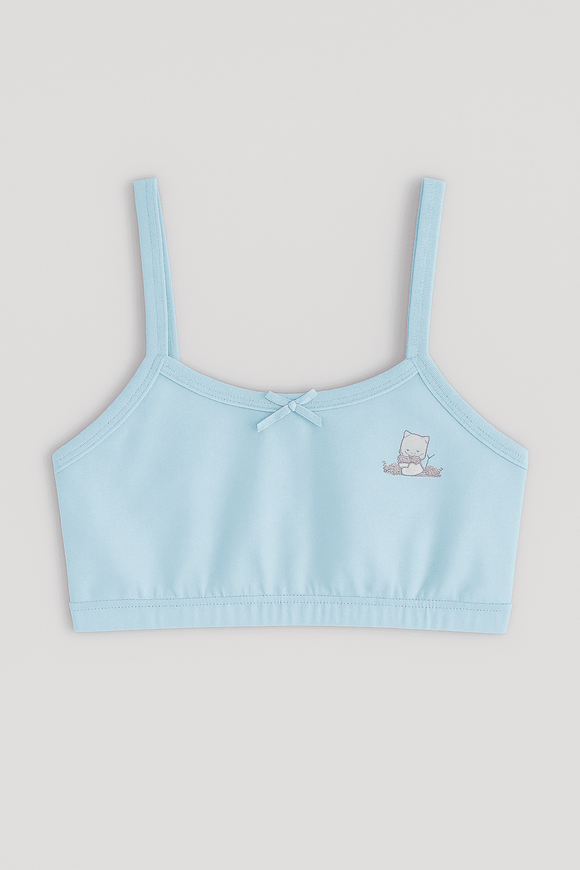 Lt Blue Yellow 2Pcs Pack Bra Assorted Nawao.com