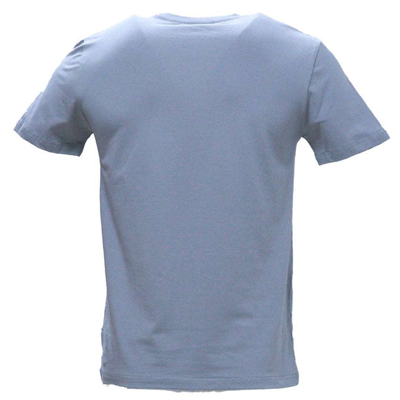 Mens Basic Spande T Shirt Pale Grey Nawao.com