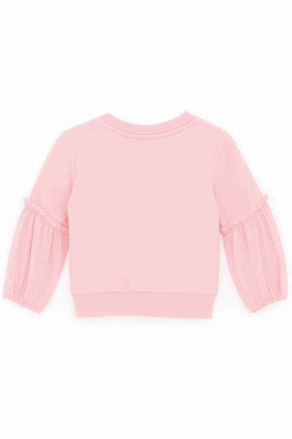 Mesh Slv With Placement Print Terry Top Pale Pink Nawao.com