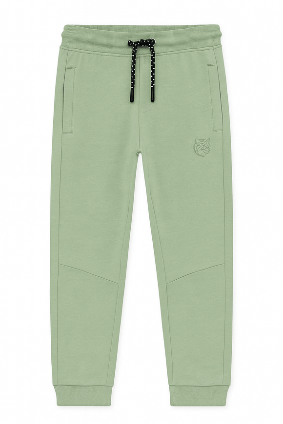 Mint Table Active Pants Mint Nawao.com