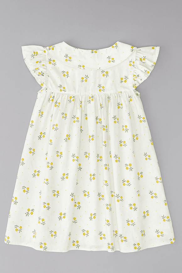 Peterpan Aop Shirt Dress Nawao.com