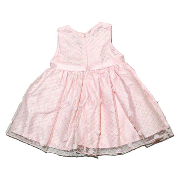 Pink Mesh All Over Embroidery Dress Nawao.com