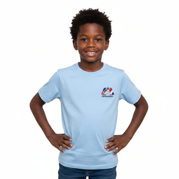 Sky Blue Embroidery Tee Sky Blue